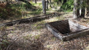 Donnelly trough and well. The trough was adzed out of a long log and is still in good condition.