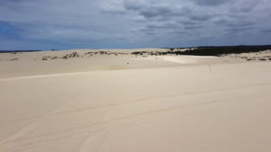 Heading to the beach on Yeagarup Dunes.