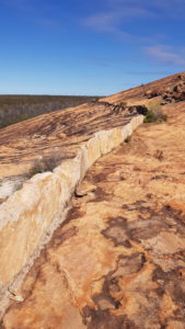 A harvest wall at Cave Hill.