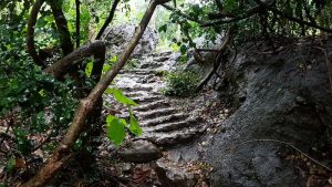 Pathway to cave.