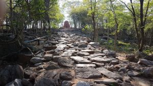 The pathway to the temple.