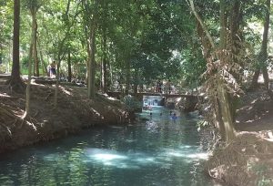 Local swimming hole at Khao Yai.