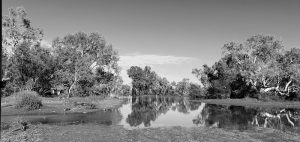 Byro-Beringarra Road Crossing