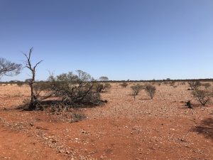 Heading south towards Manfred.