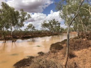 Aaron and Mushy found their way to the main channel a few kilometres south of where the boat crews had stopped and, for a while, it was contemplated to navigate to this point to get off the river.