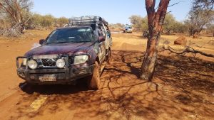 Navara and Patrol bogged along fenceline.