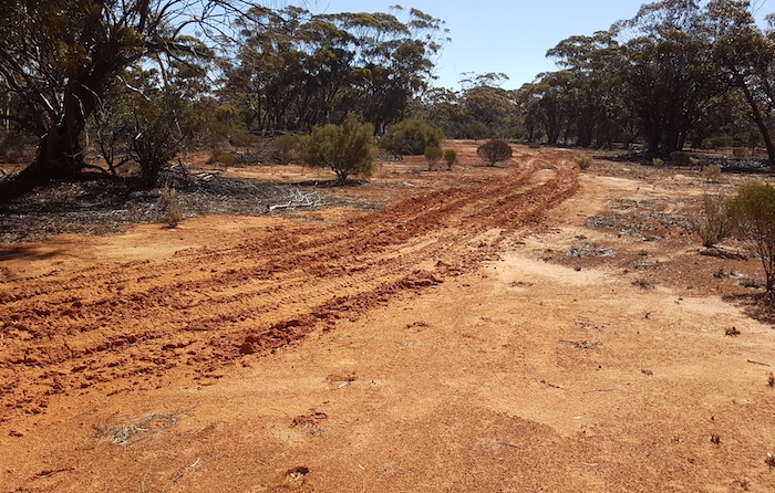 Wheel tracks leading out of our campsite on the last night of the Outback Trek in August 2020.