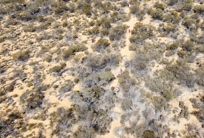 Kim in red shirt can be seen walking along the historical track – impassable to vehicles – that leads to Wangine.