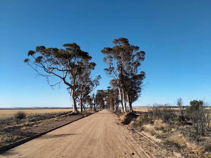 Lake country south of Kellerberrin.