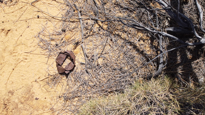 This rusted can was one of many found on the Track