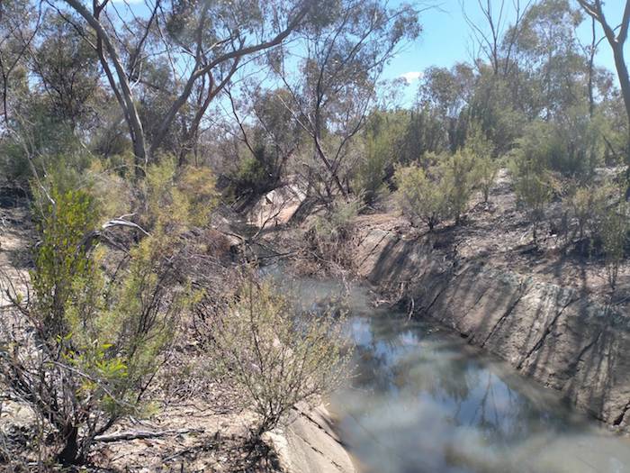 Water harvesting channel.